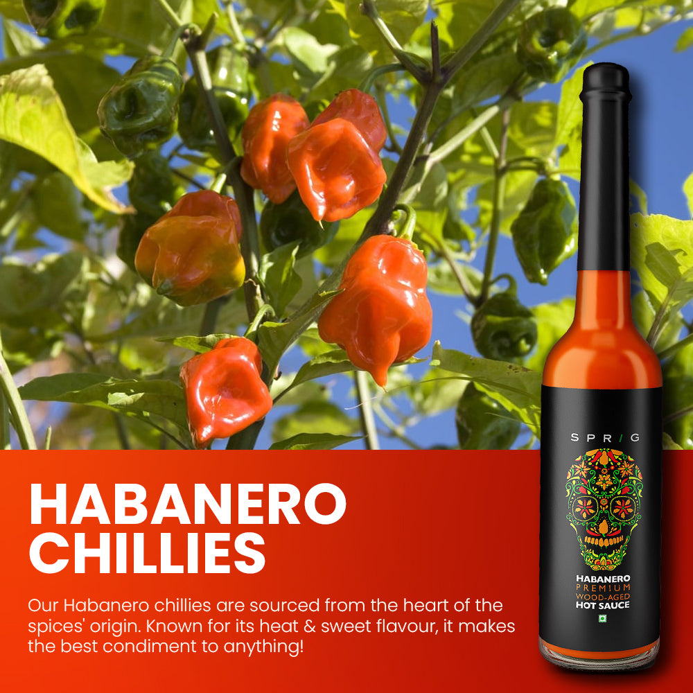 Habanasco – Fermented Habanero Hot Sauce 1-Pack